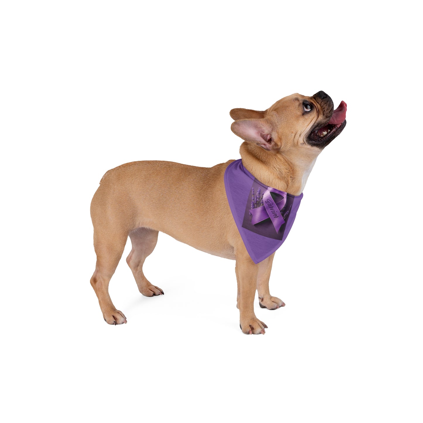 Cancer Survivor - Pet Bandana - Furry Nation - ZenGen USA