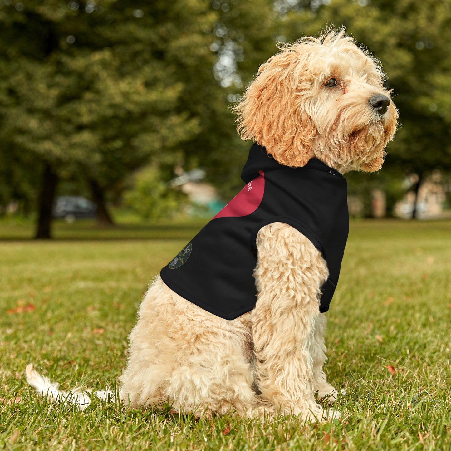 Pet Hoodie - Only One I Like - Furry Nation ZenGen USA