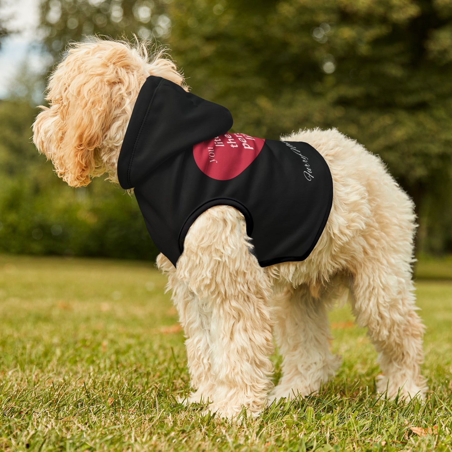 Pet Hoodie - Only One I Like - Furry Nation ZenGen USA