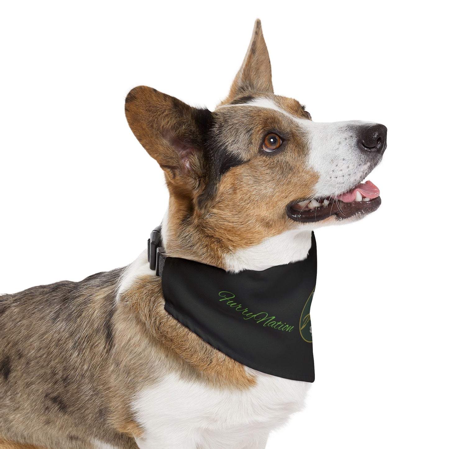 FurryNation Pet Bandana Collar - ZenGen