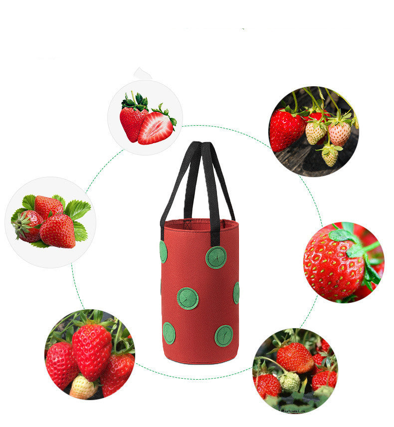 Strawberry Grow Bag Nonwoven Fabric Vertical Jardin Garden Hanging Plant Bag Vegetable Potato Planter Bag For Greenhouse - ZenGen USA