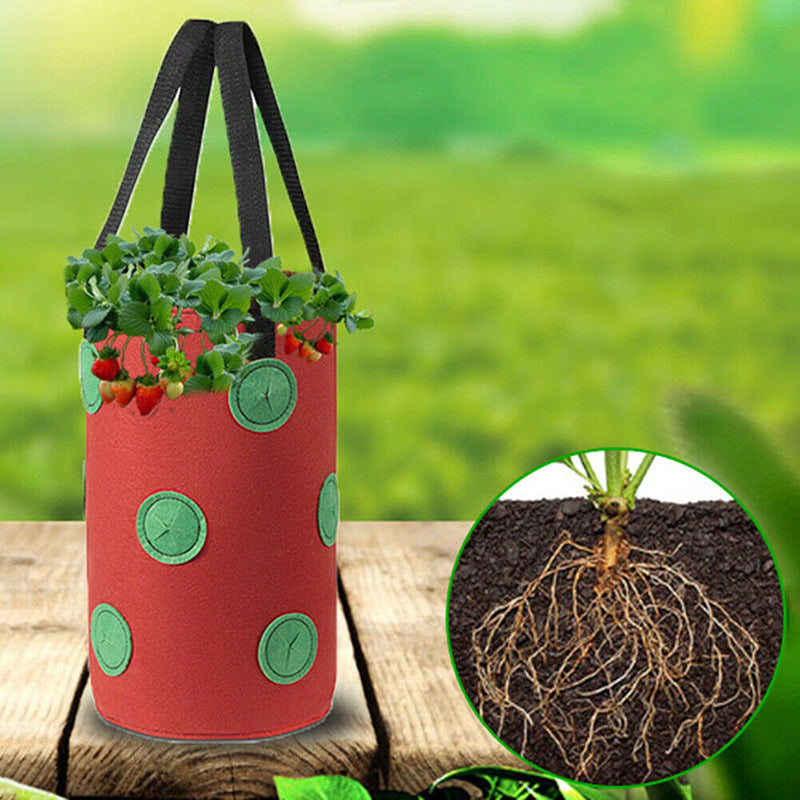 Strawberry Grow Bag Nonwoven Fabric Vertical Jardin Garden Hanging Plant Bag Vegetable Potato Planter Bag For Greenhouse - ZenGen USA