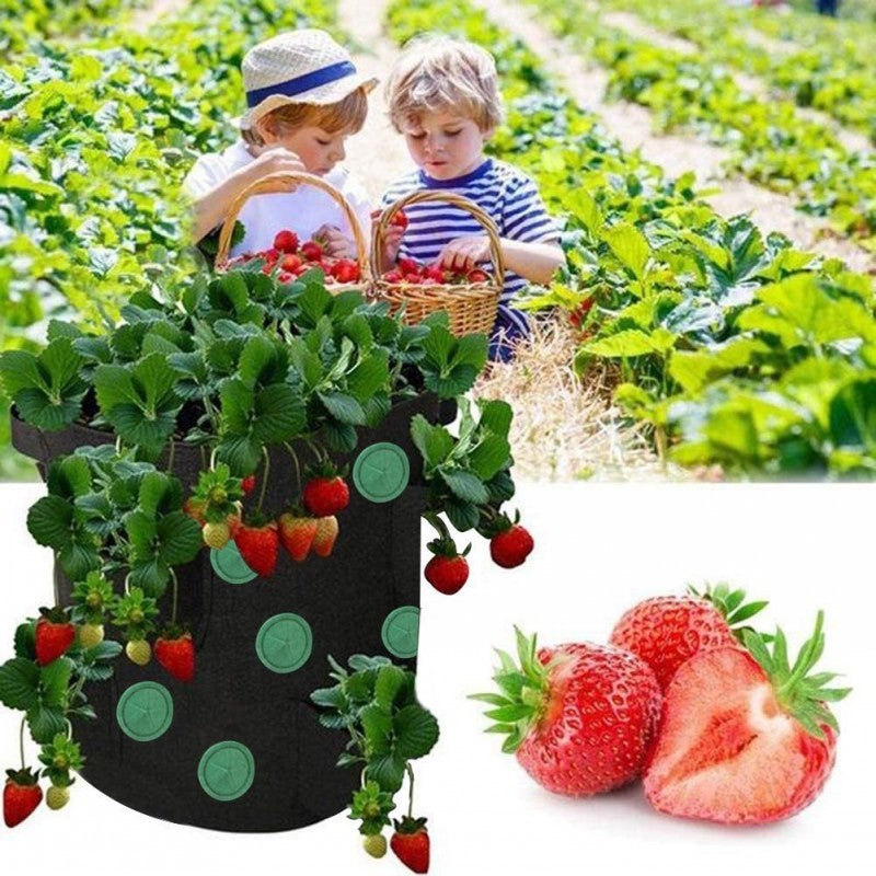 Strawberry Grow Bag Nonwoven Fabric Vertical Jardin Garden Hanging Plant Bag Vegetable Potato Planter Bag For Greenhouse - ZenGen USA