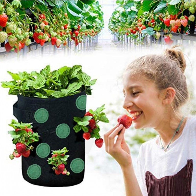 Strawberry Grow Bag Nonwoven Fabric Vertical Jardin Garden Hanging Plant Bag Vegetable Potato Planter Bag For Greenhouse - ZenGen USA