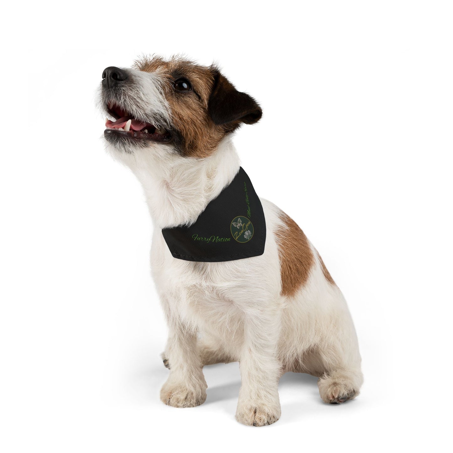 FurryNation Pet Bandana Collar - ZenGen