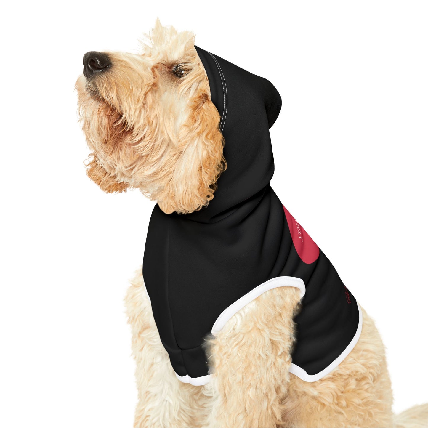 Pet Hoodie - Only One I Like - Furry Nation ZenGen USA