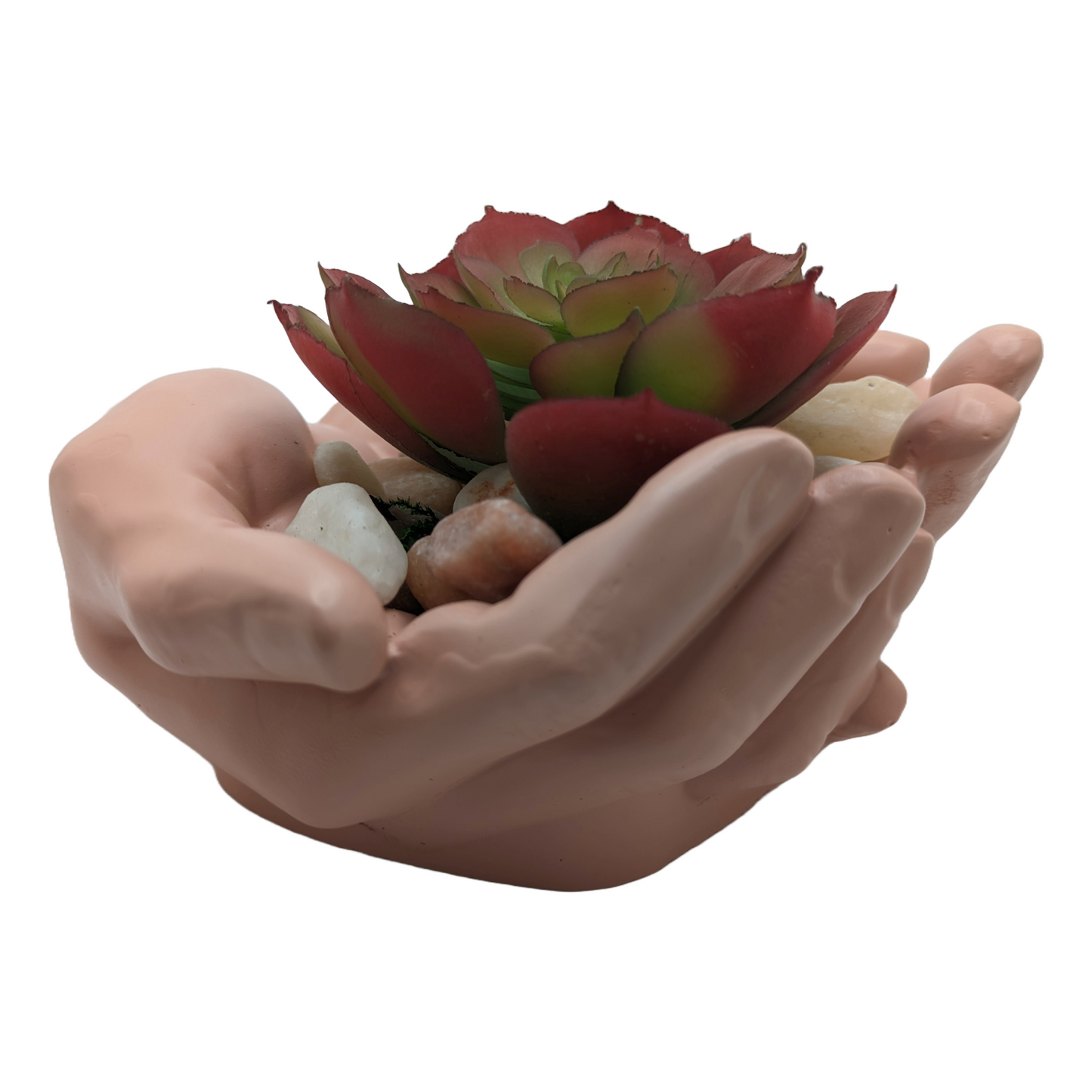 Succulent Hands - Craft Ceramic Pottery & Succulents - ZenGen USA