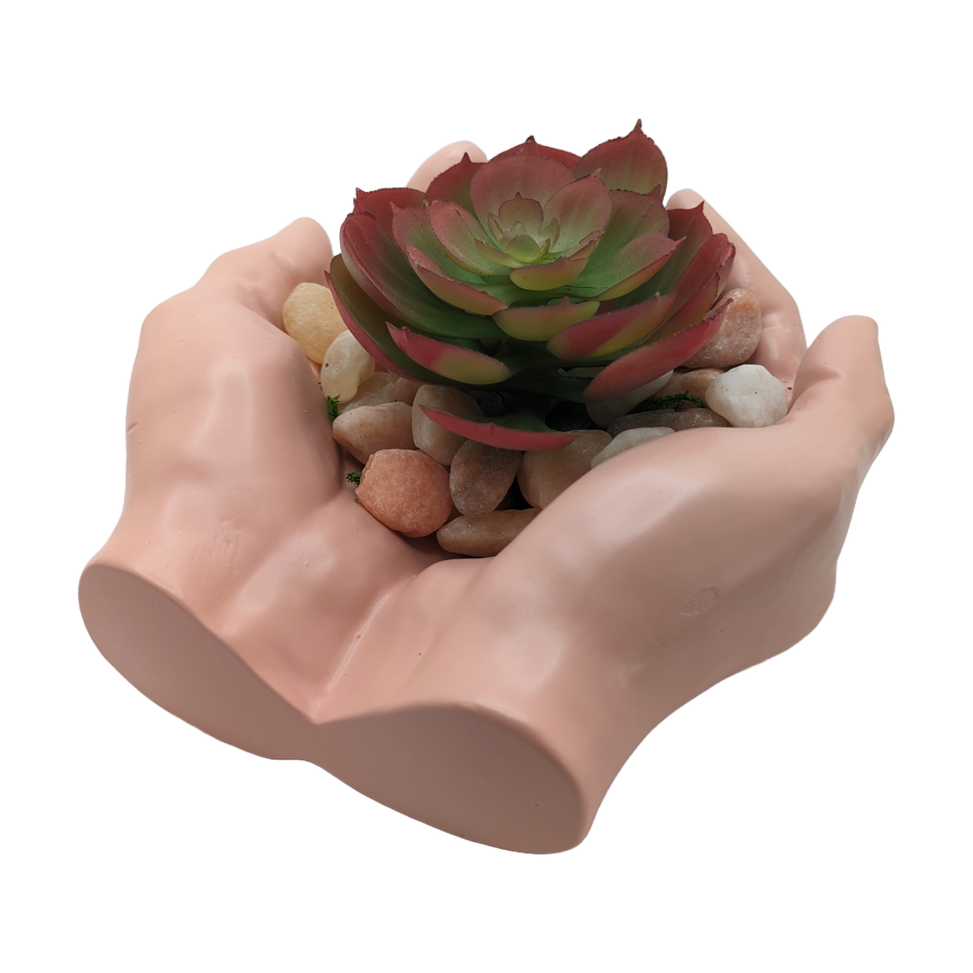 Succulent Hands - Craft Ceramic Pottery & Succulents - ZenGen USA