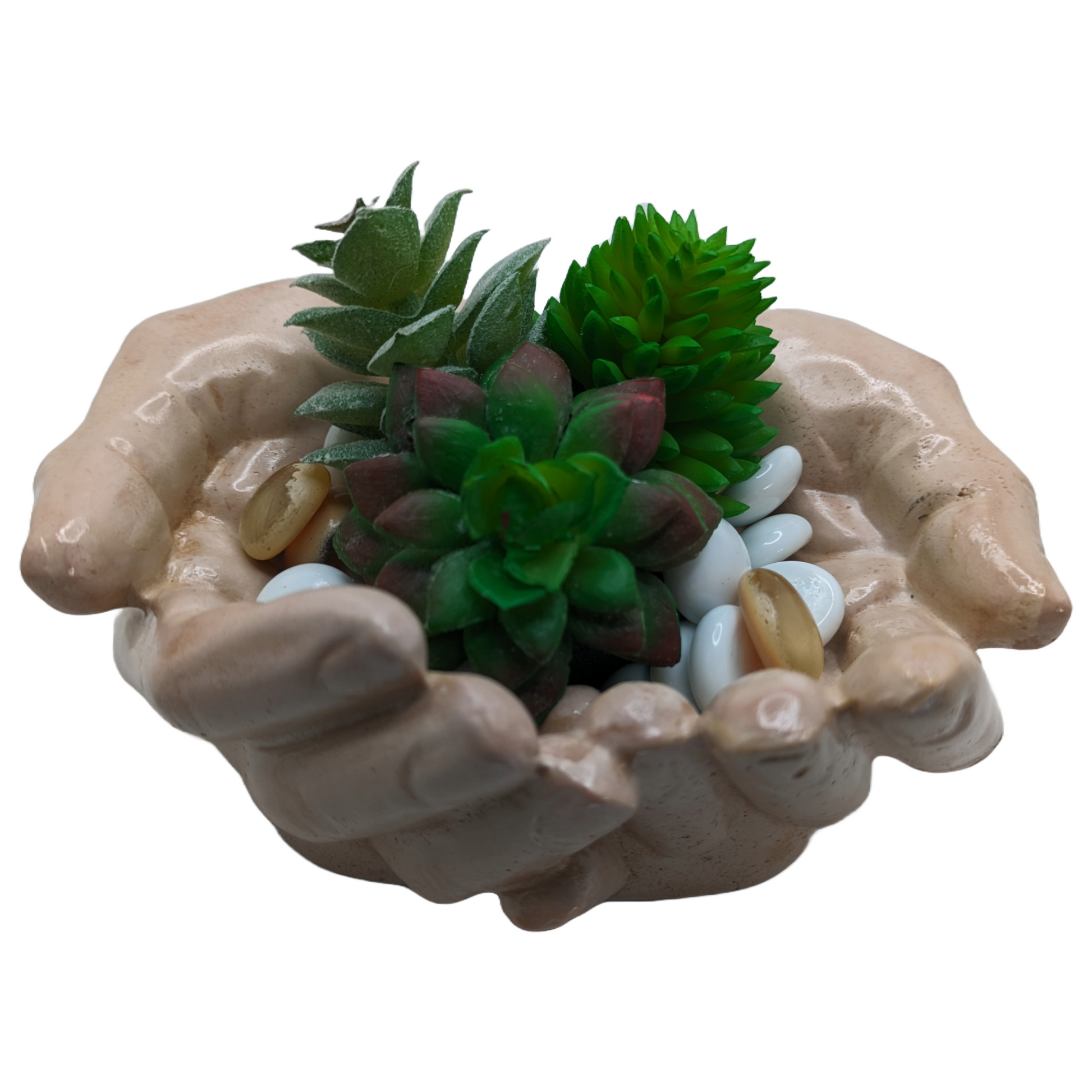 Succulent Hands - Craft Ceramic Pottery & Succulents - ZenGen USA