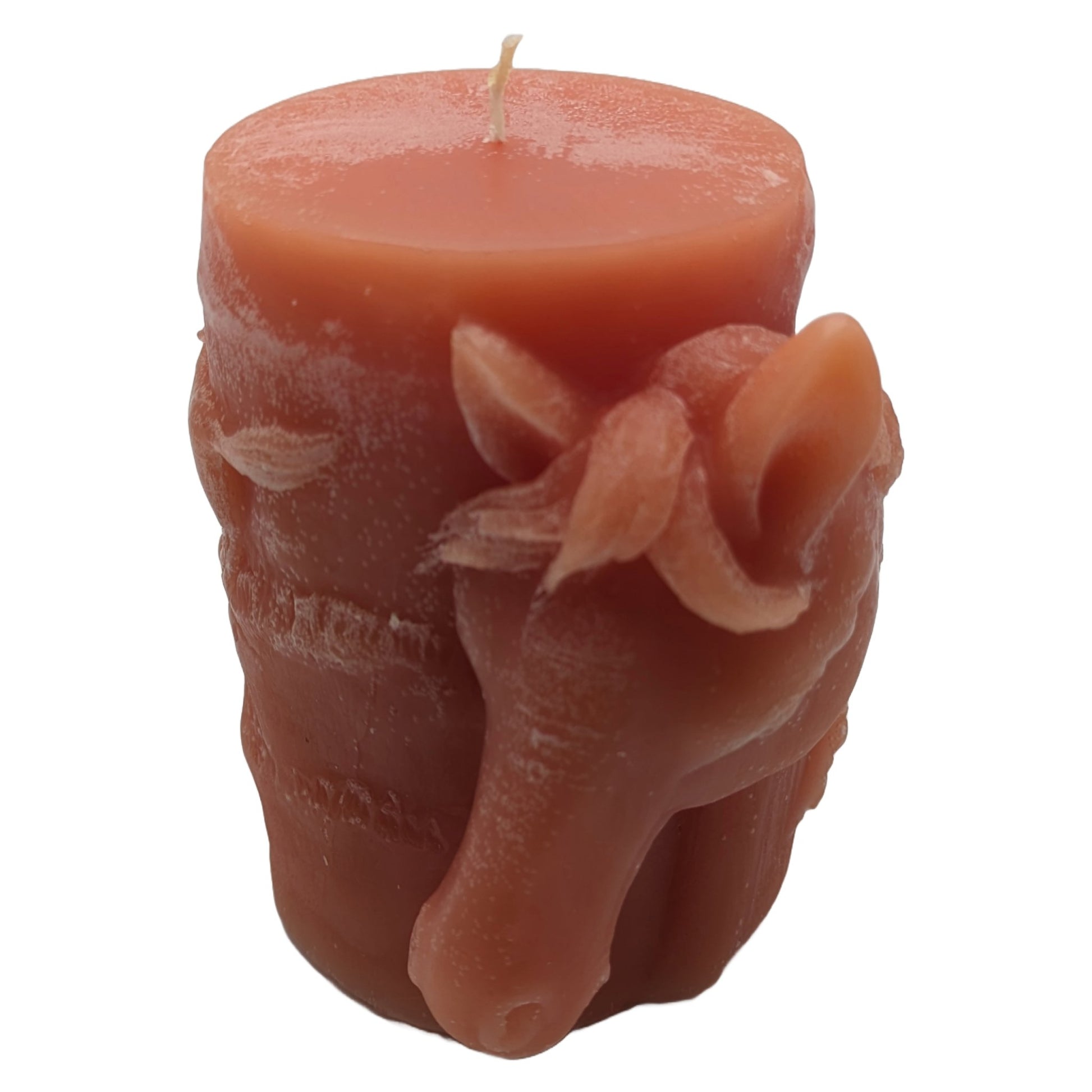 Call of the WILD Scented Candle ZenGen Original - Frankincense Myrrh & Lime - Handcrafted Beeswax Candle Made in USA - ZenGen USACandle