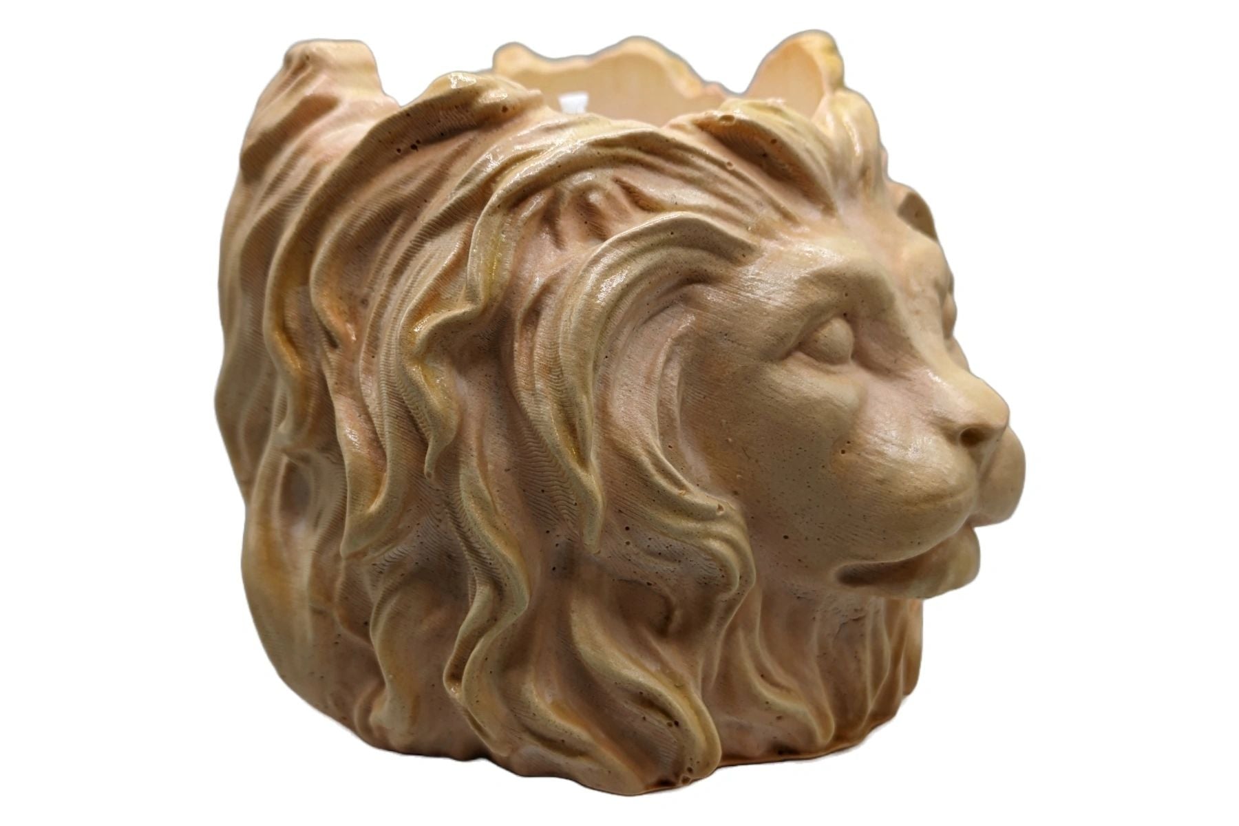 Valiant Leonard - "ROAR" Fragrance Candle - Fire Tints