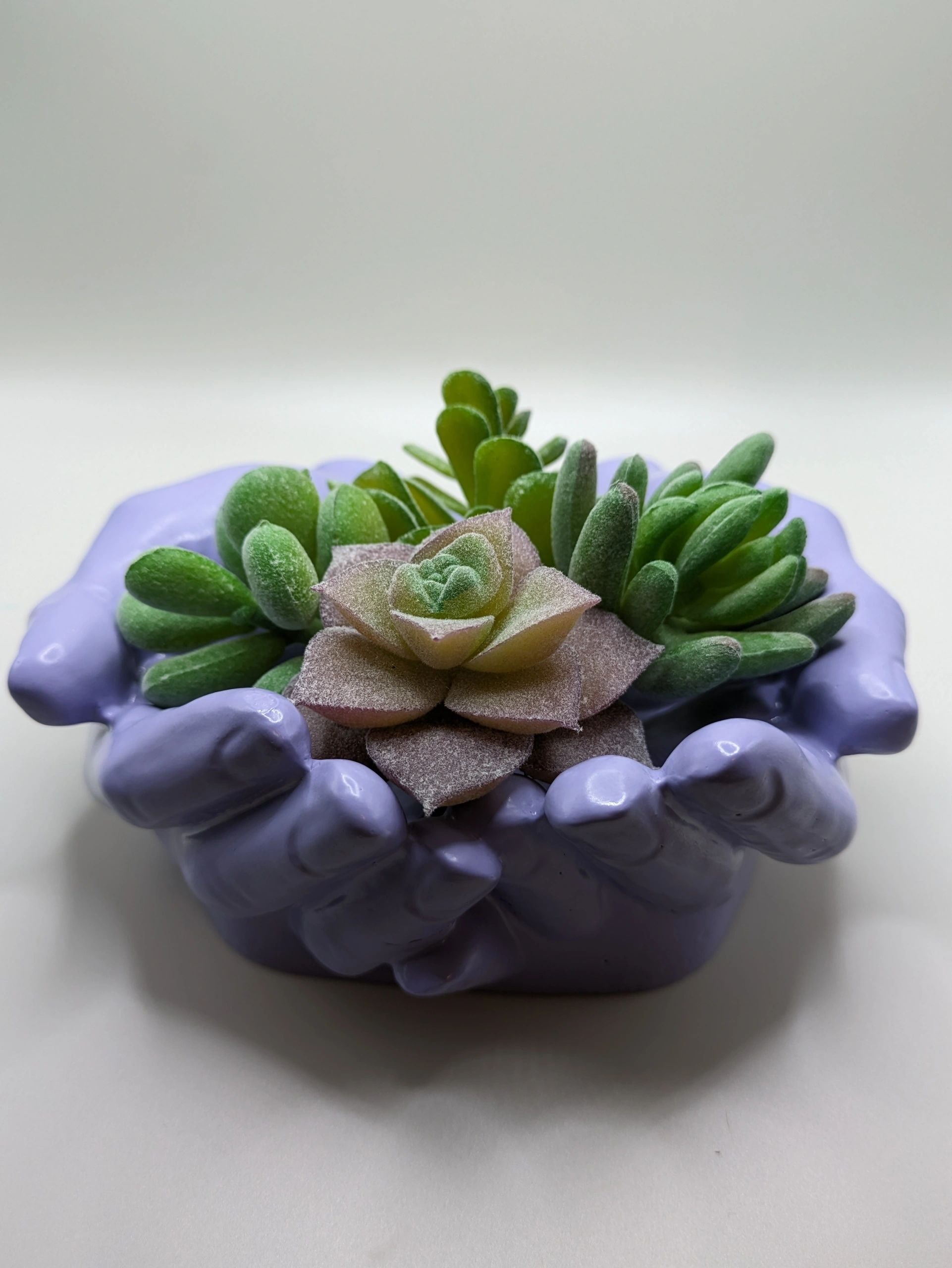 Succulent Hands - Craft Ceramic Pottery & Succulents