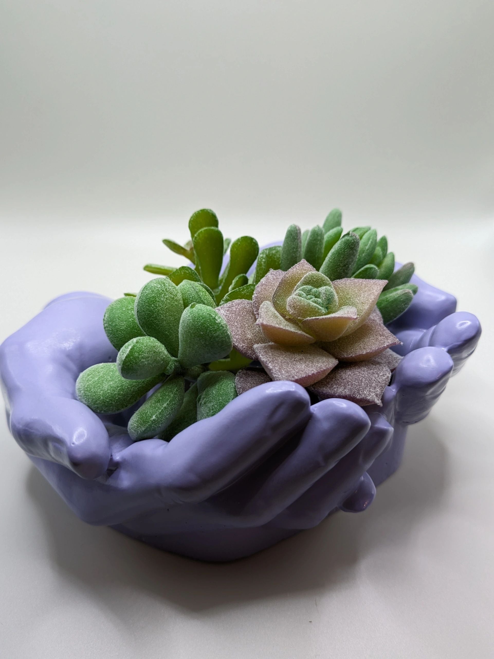 Succulent Hands - Craft Ceramic Pottery & Succulents