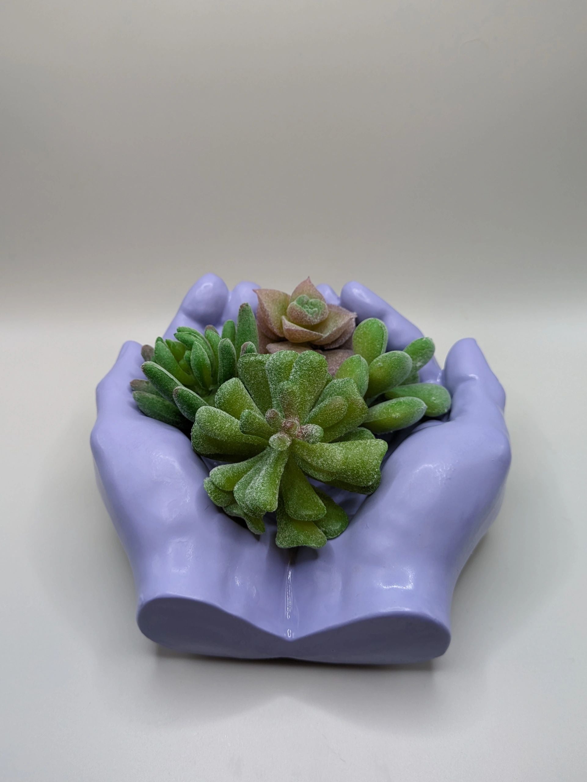 Succulent Hands - Craft Ceramic Pottery & Succulents