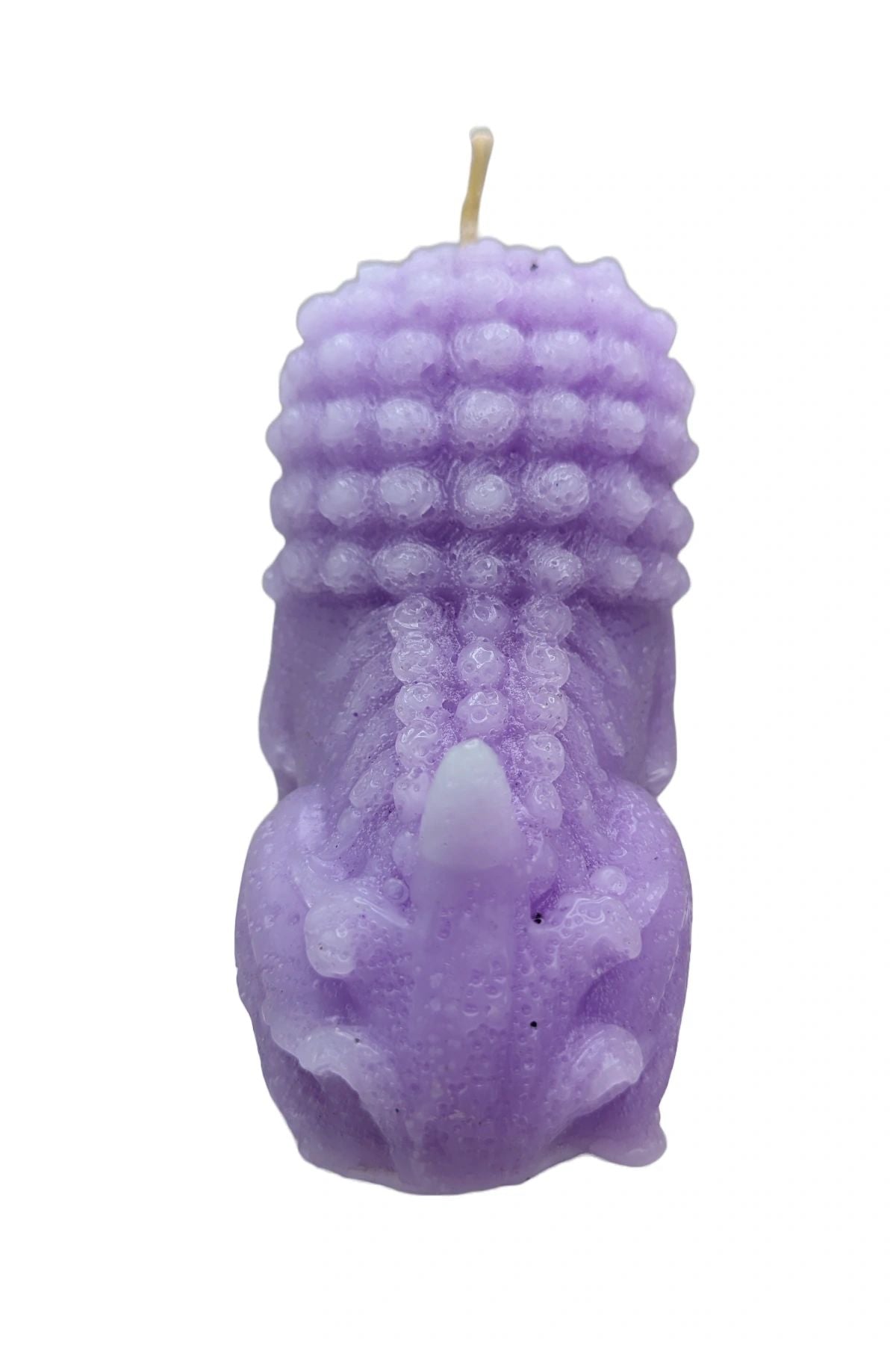 Fushi "Fortuitous Guardian Lion" - Beeswax - MUSE Scented